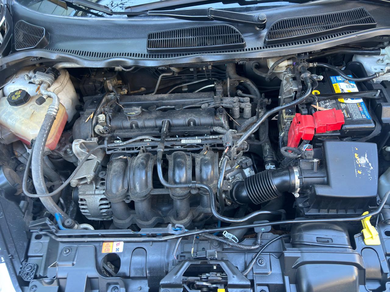 FIESTA KINETIC  SE 1.6 2016